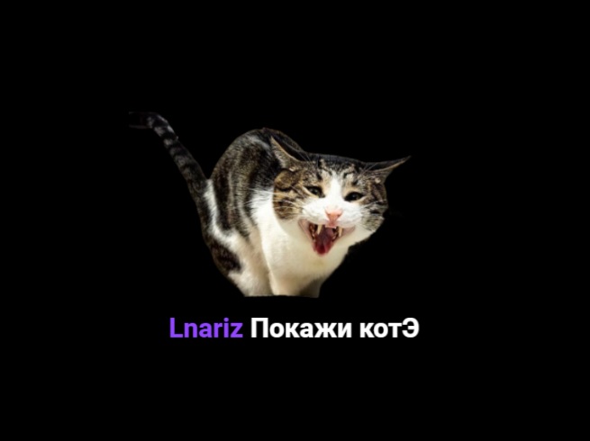 Награда Покажи котЭ с изображением кота на Twitch-канале Lnariz