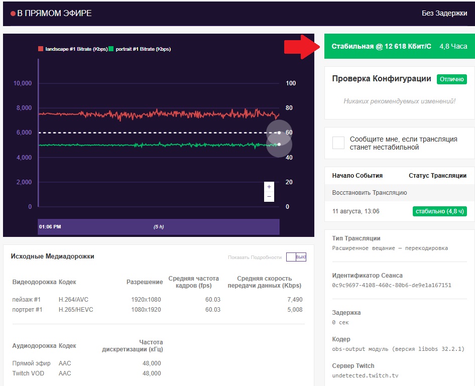Стабильный график битрейта и проверка конфигурации Twitch Inspector